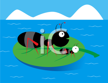 Insect Clipart