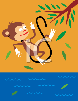 Primate Clipart