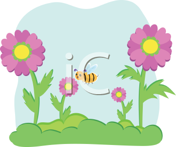 Insect Clipart