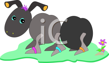 Insect Clipart