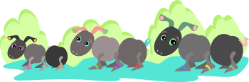 Insect Clipart