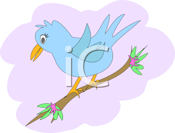 Bird Clipart