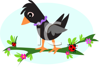 Bird Clipart
