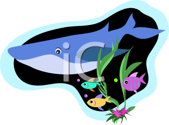 Fish and Sealife Clipart