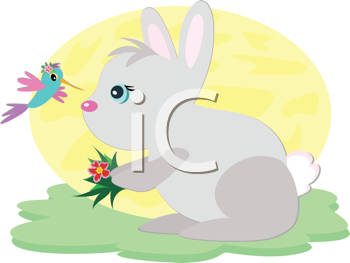 Bird Clipart