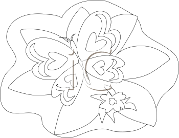 Insect Clipart