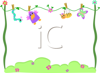 Insect Clipart