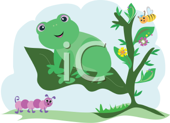 Insect Clipart