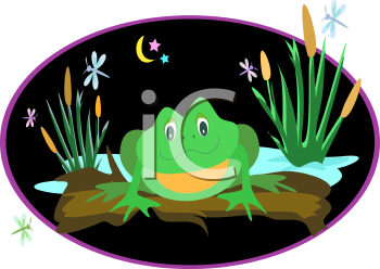 Insect Clipart