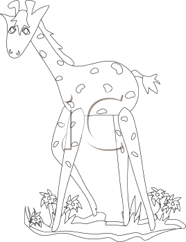 Mammal Clipart