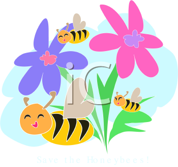 Insect Clipart