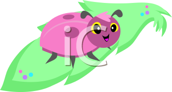 Insect Clipart