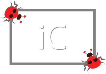 Insect Clipart