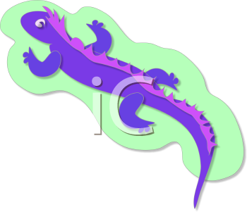 Lizard Clipart