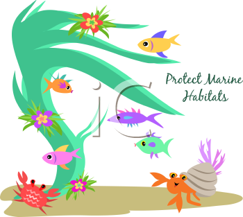 Fish and Sea Life Clipart