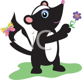 Insect Clipart