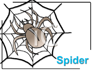 Insect Clipart