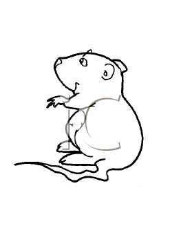 Rodent Clipart