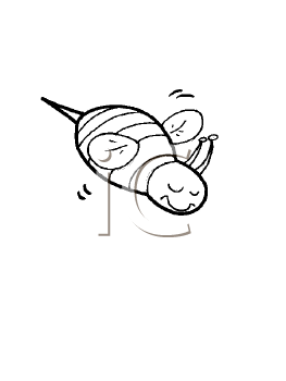 Insect Clipart