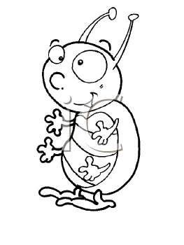 Insect Clipart