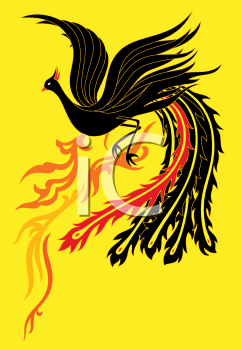Insect Clipart