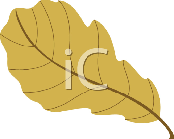 Nature and Scenic Clipart