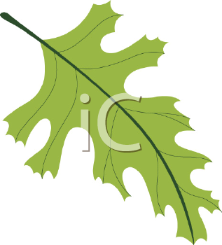 Nature and Scenic Clipart