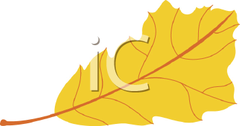 Nature and Scenic Clipart