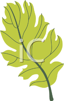Nature and Scenic Clipart
