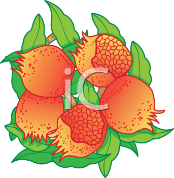 School Clipart