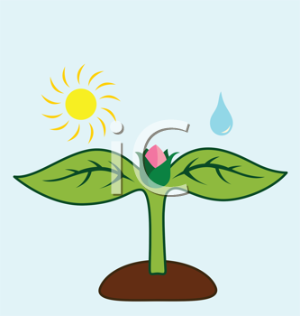 Nature and Scenic Clipart