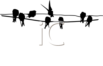 Bird Clipart