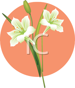 Nature and Scenic Clipart