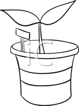 Nature and Scenic Clipart
