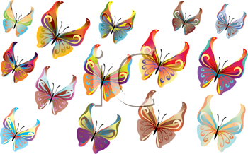 Insect Clipart