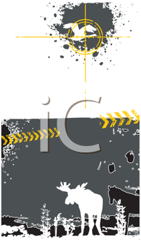 Insect Clipart