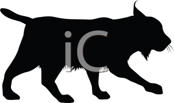 Pet Clipart