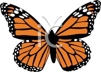 Insect Clipart
