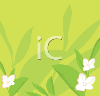 Flower Clipart