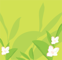 Flower Clipart