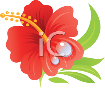 Flower Clipart