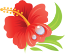 Flower Clipart