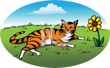 Pet Clipart