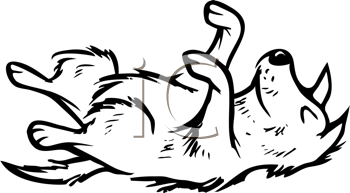 Pet Clipart