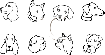 Pet Clipart