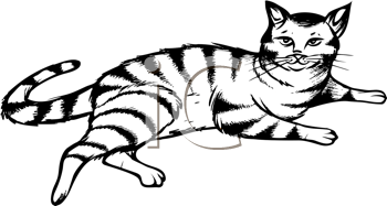 Pet Clipart