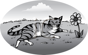 Nature and Scenic Clipart