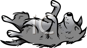 Pet Clipart
