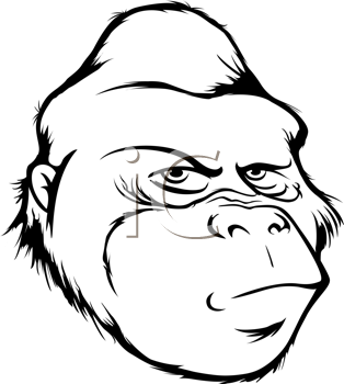 Primate Clipart
