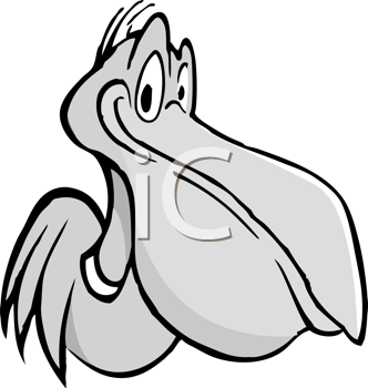 Insect Clipart